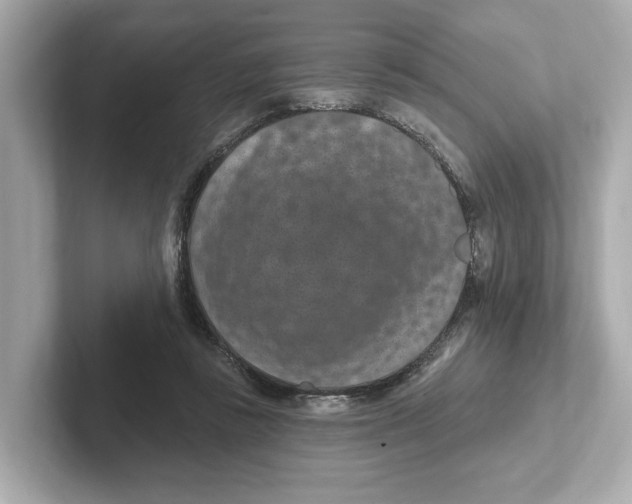 X0000101090355200807241012