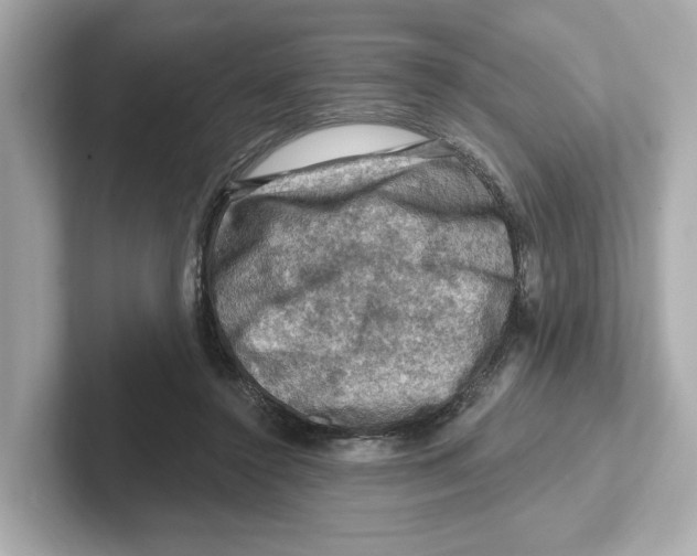 X0000101090356200807241012