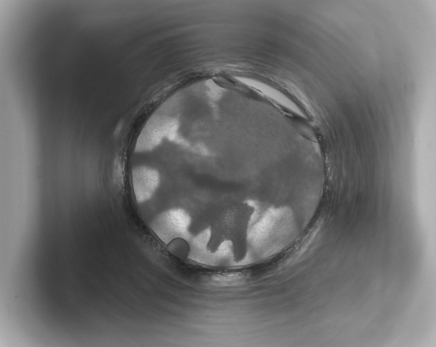 X0000101090357200807241012