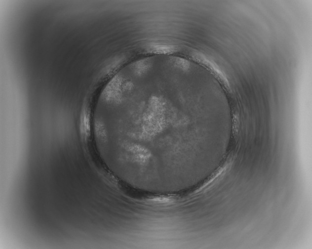 X0000101090358200807241012