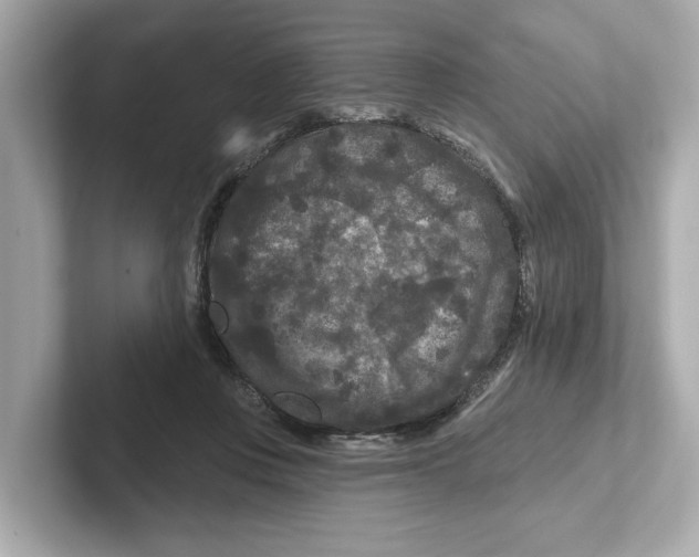 X0000101090359200807241012
