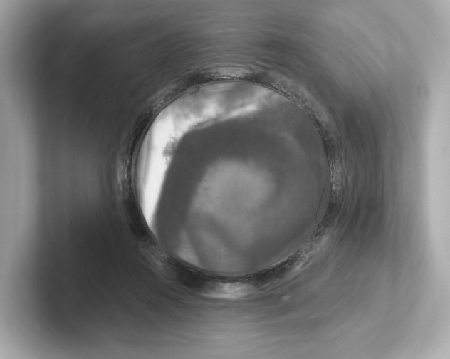 X0000101090360200807241012