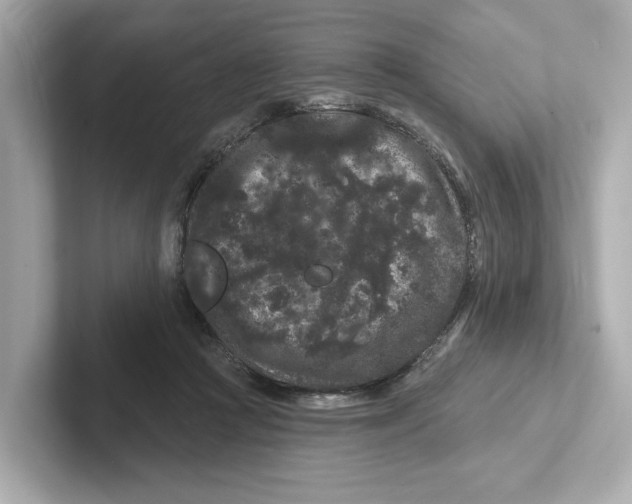 X0000101090361200807241012