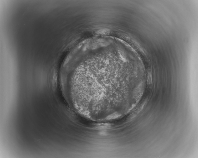 X0000101090363200807241012