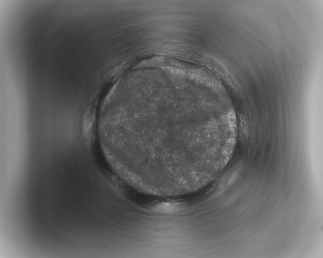 X0000101090364200807241012