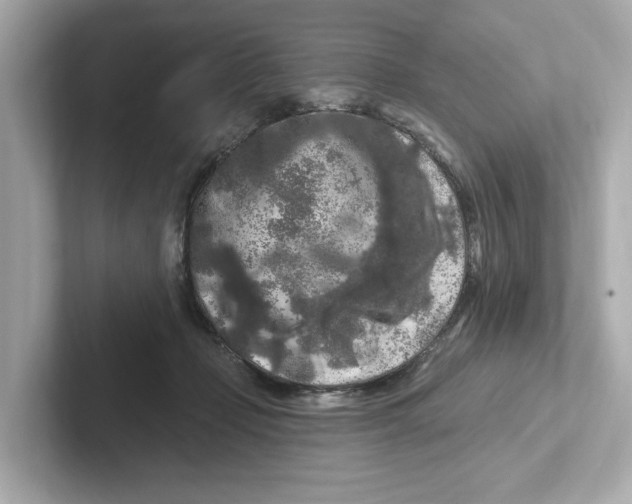 X0000101090365200807241012