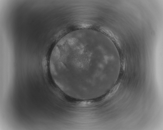 X0000101090366200807241012