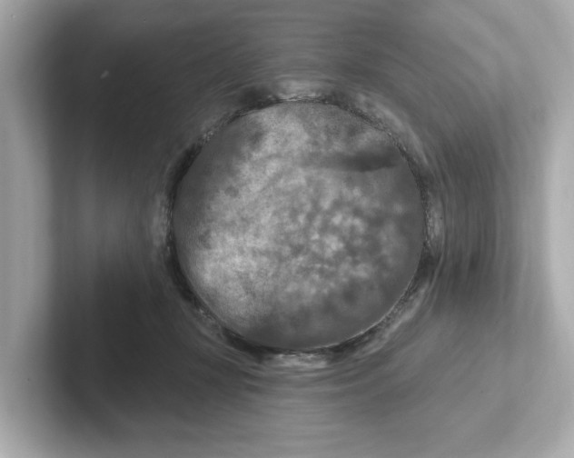 X0000101090367200807241012