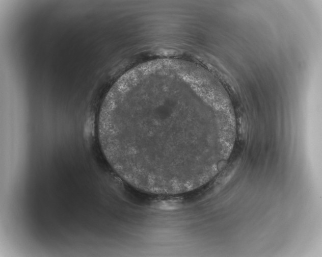 X0000101090368200807241012