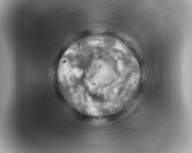X0000101090369200807241012
