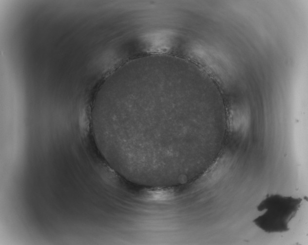 X0000101090370200807241012