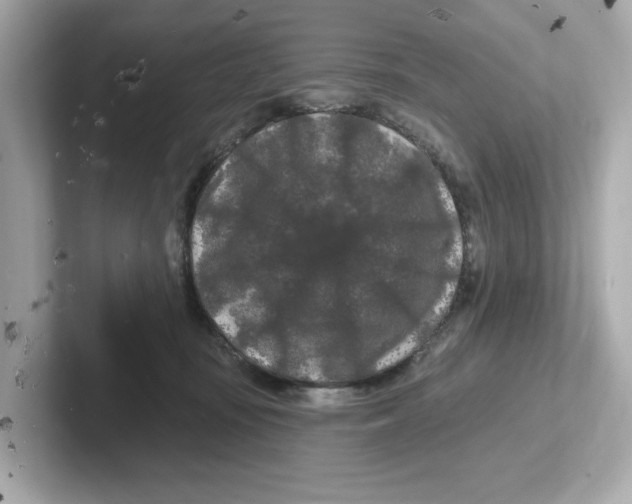 X0000101090371200807241012