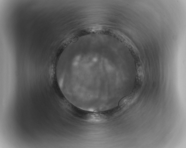 X0000101090372200807241013
