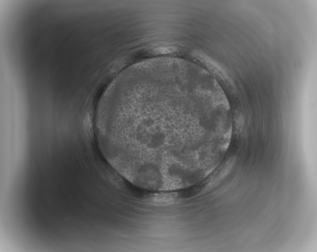 X0000101090373200807241013