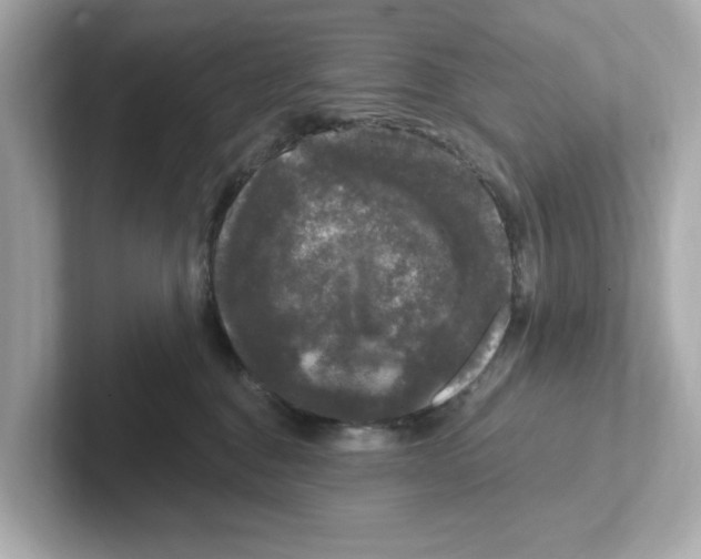 X0000101090376200807241013