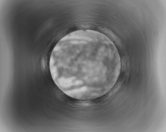 X0000101090377200807241013