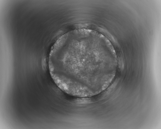 X0000101090378200807241013