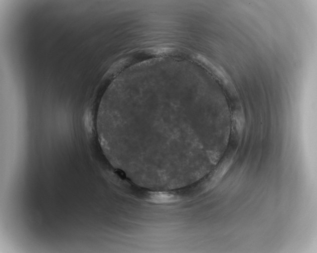 X0000101090380200807241013