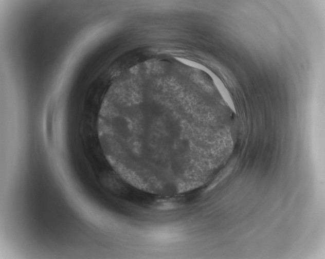 X0000101090381200807241013