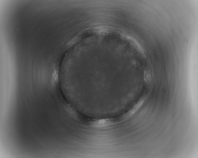 X0000101090382200807241013