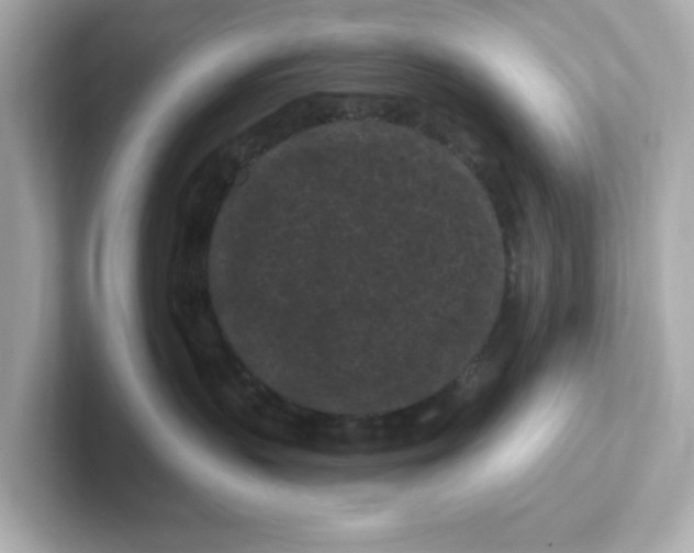 X0000101090383200807241013