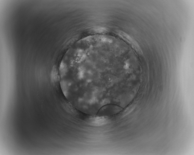 X0000101090384200807241013