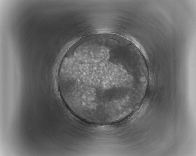 X0000101090385200807241012