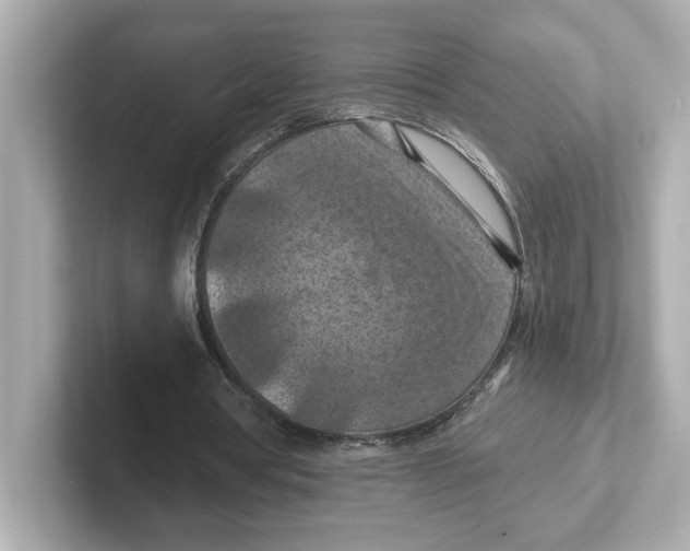 X0000101090386200807241012