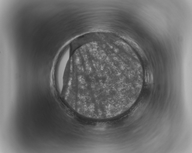 X0000101090388200807241012