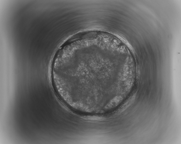 X0000101090389200807241012