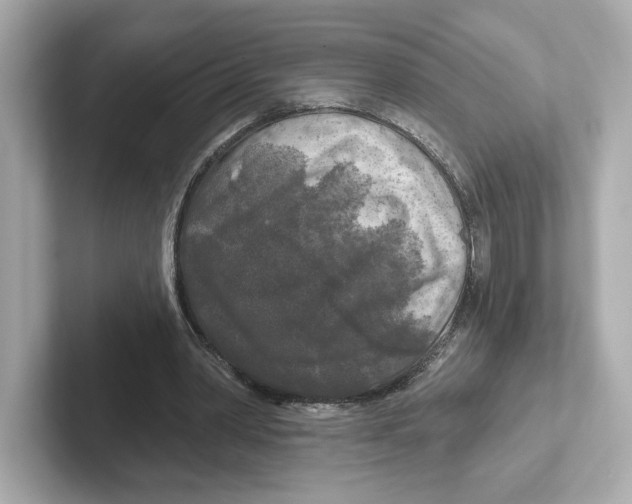 X0000101090390200807241012