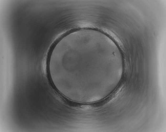 X0000101090391200807241012