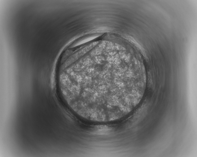 X0000101090392200807241012