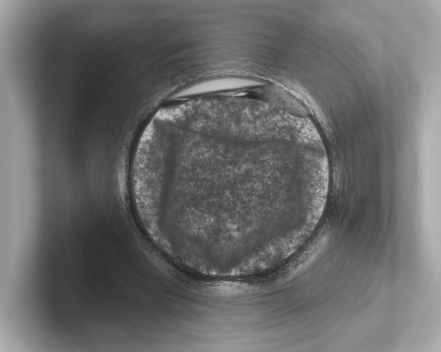 X0000101090393200807241012