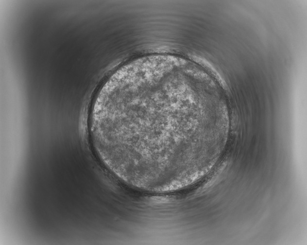 X0000101090394200807241012