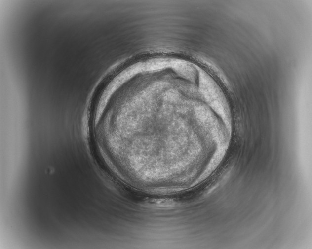 X0000101090395200807241012