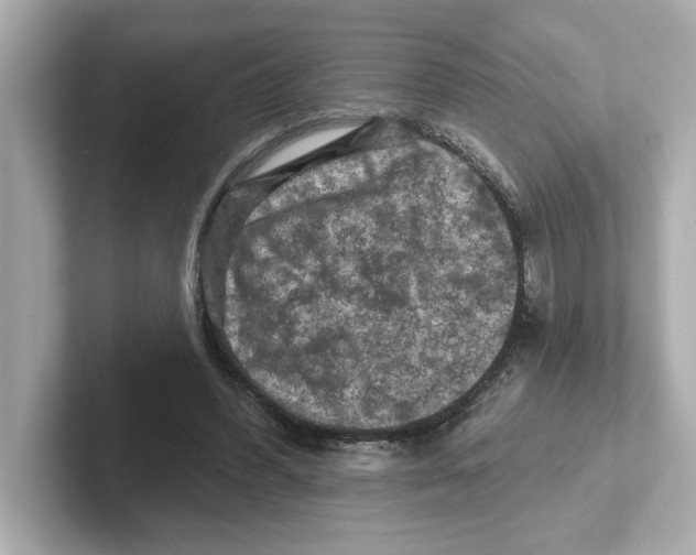 X0000101090396200807241012