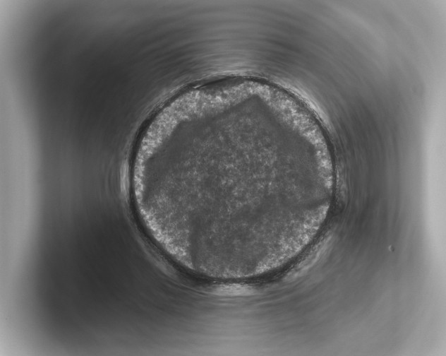 X0000101090397200807241012