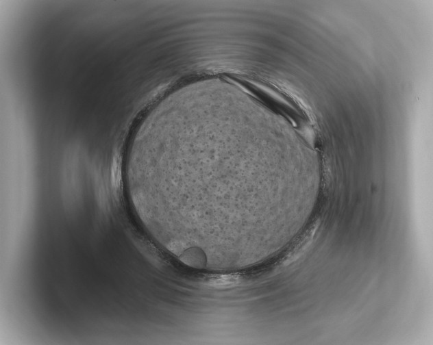 X0000101090398200807241012