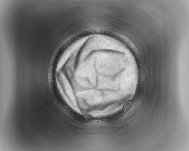 X0000101090399200807241012
