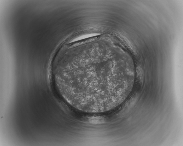 X0000101090400200807241012