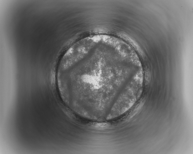 X0000101090401200807241012