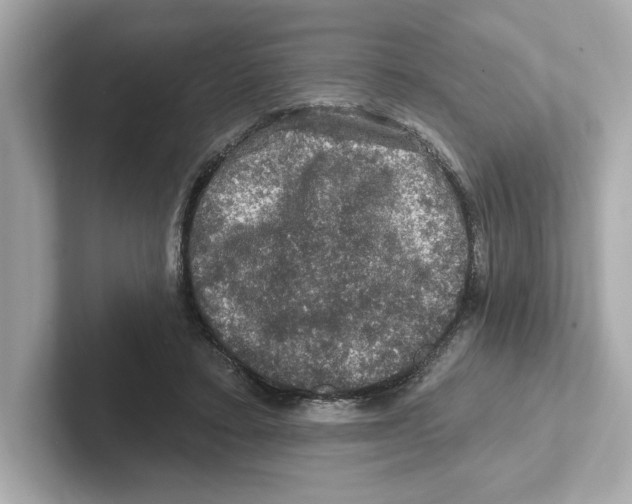 X0000101090403200807241012