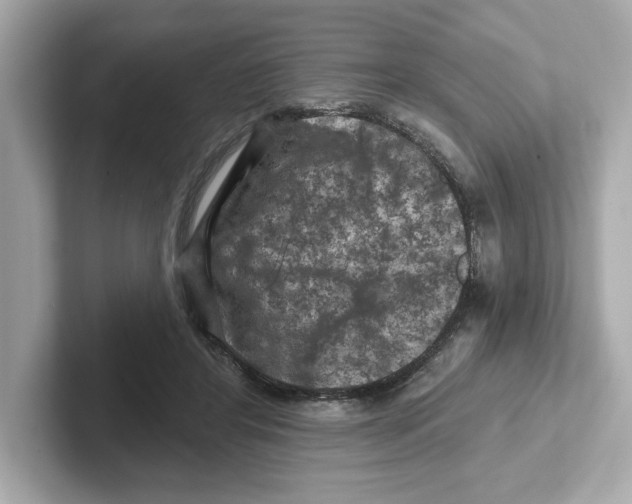 X0000101090404200807241012