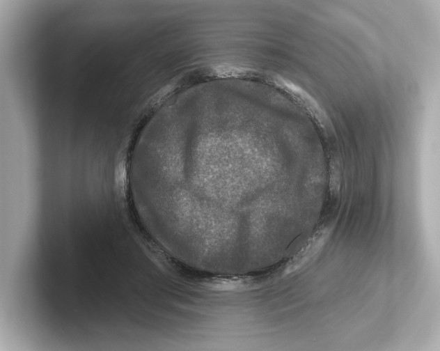 X0000101090405200807241012