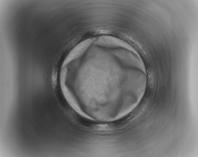 X0000101090406200807241012