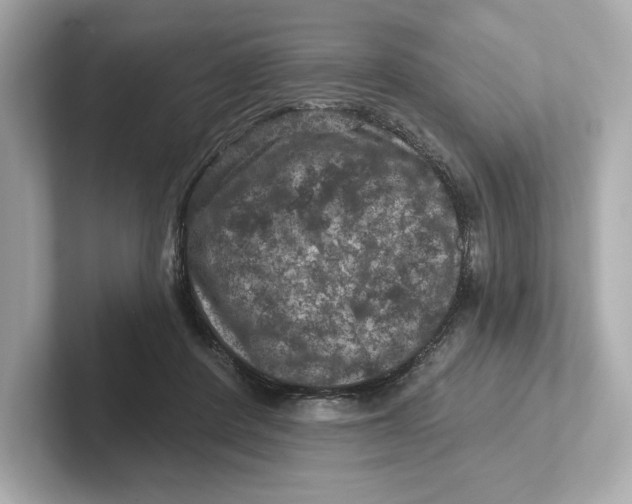X0000101090408200807241012