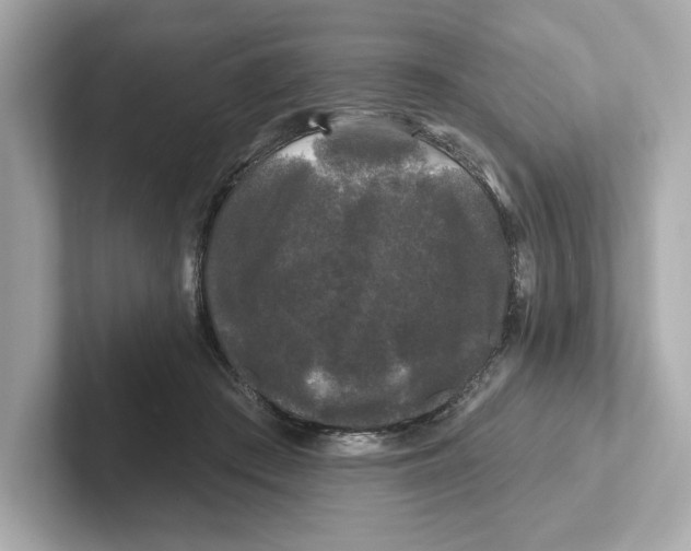 X0000101090409200807241012
