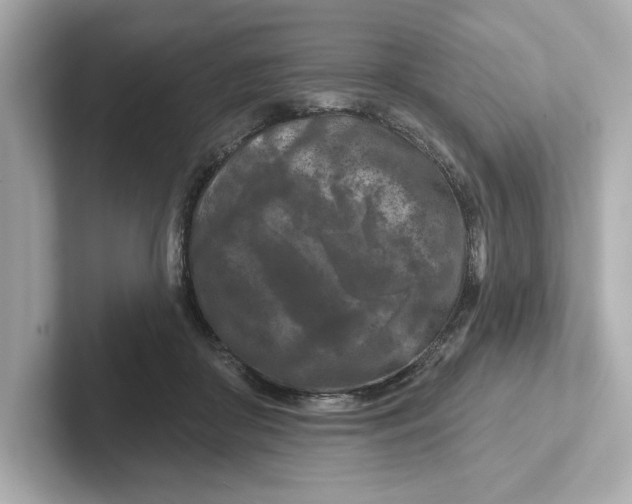 X0000101090410200807241012