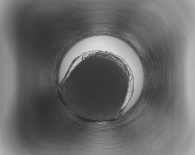 X0000101090411200807241012